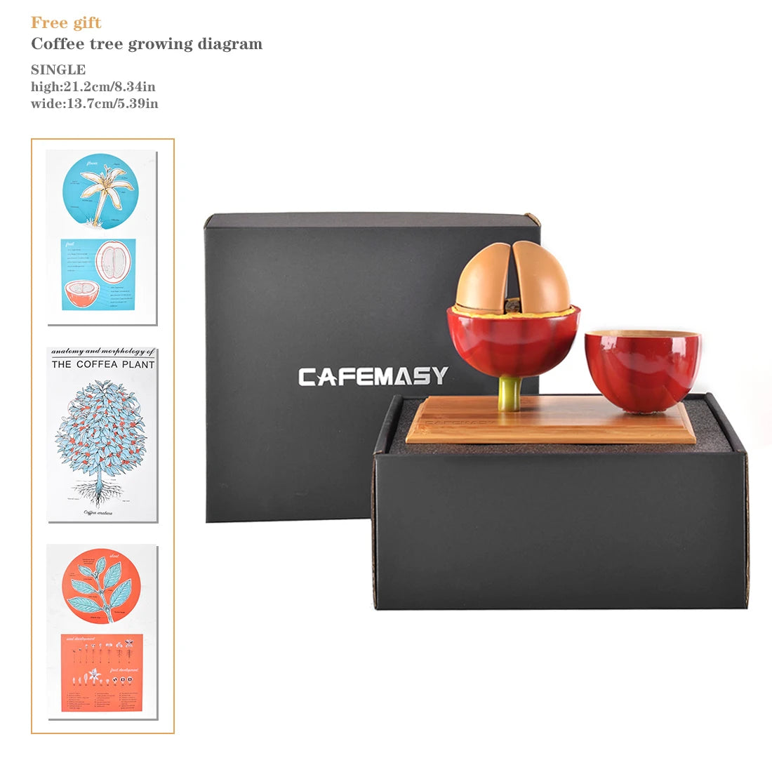 CAFEMASY Artificial Coffee Bean