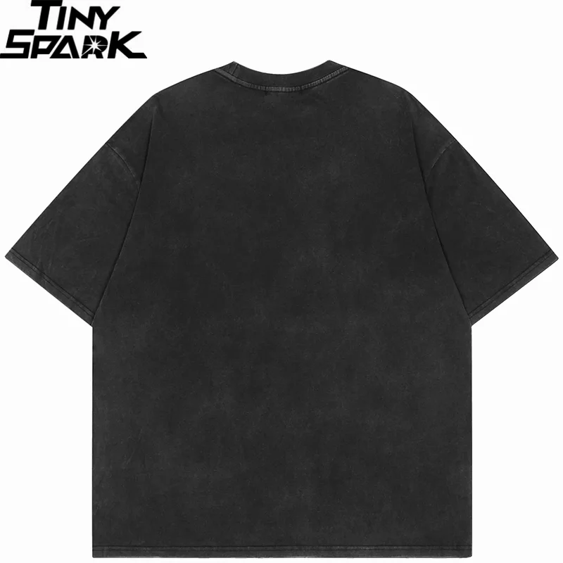 Kungfu Shadow Graphic Washed Black T-Shirt