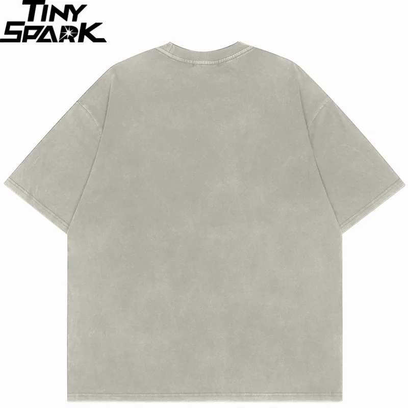 Kungfu Shadow Graphic Washed Black T-Shirt