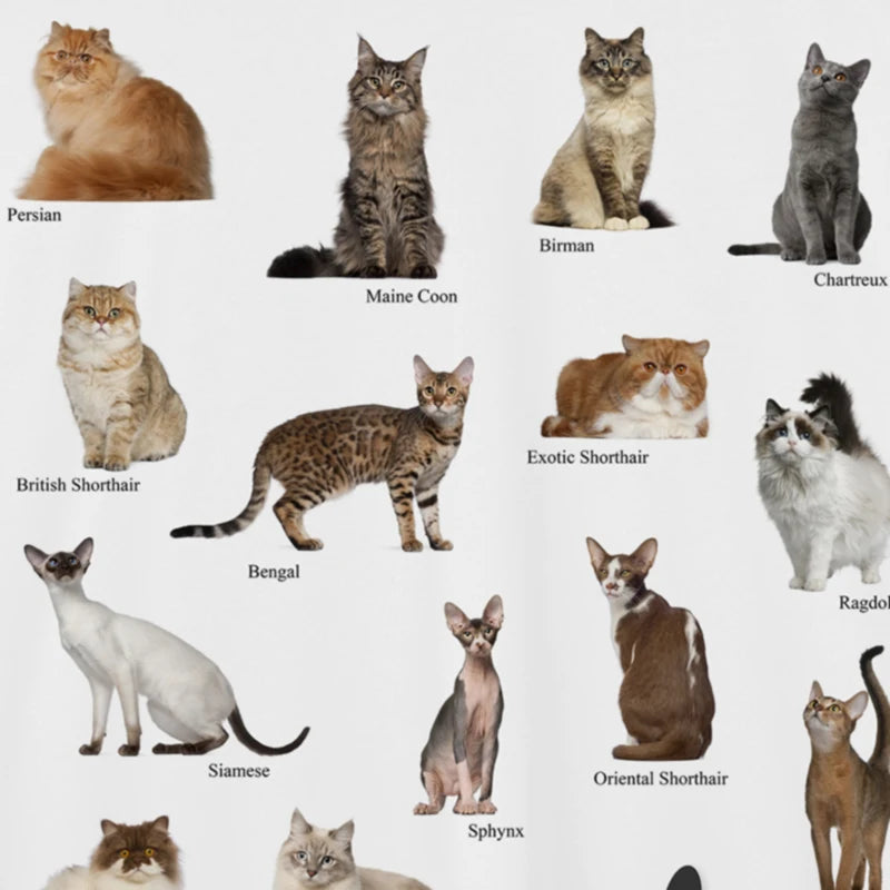 Cats Breeds Info Graphic T-Shirt